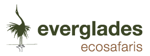 Everglades Eco Safaris