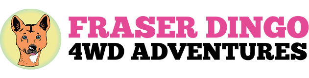Fraser Dingo 4WD Hire